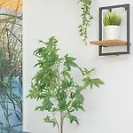 Nowy Swiat Stylish, Seaside With Balcony & Parking By Renters Puck