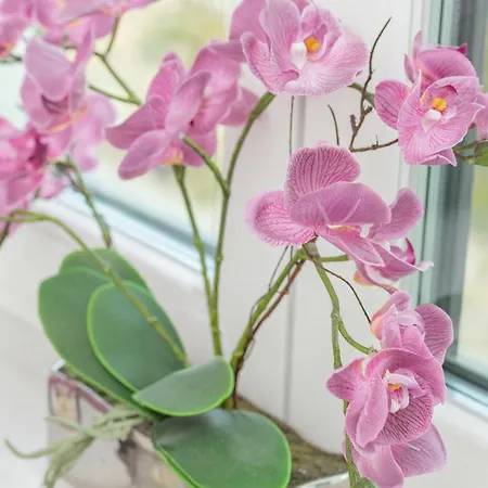 Apartment Nowy Swiat Stylish, Seaside With Balcony & Parking By Renters *